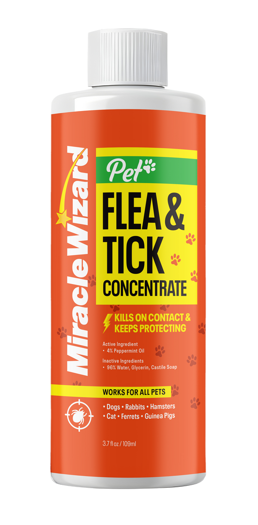 Flea & Tick Concentrate