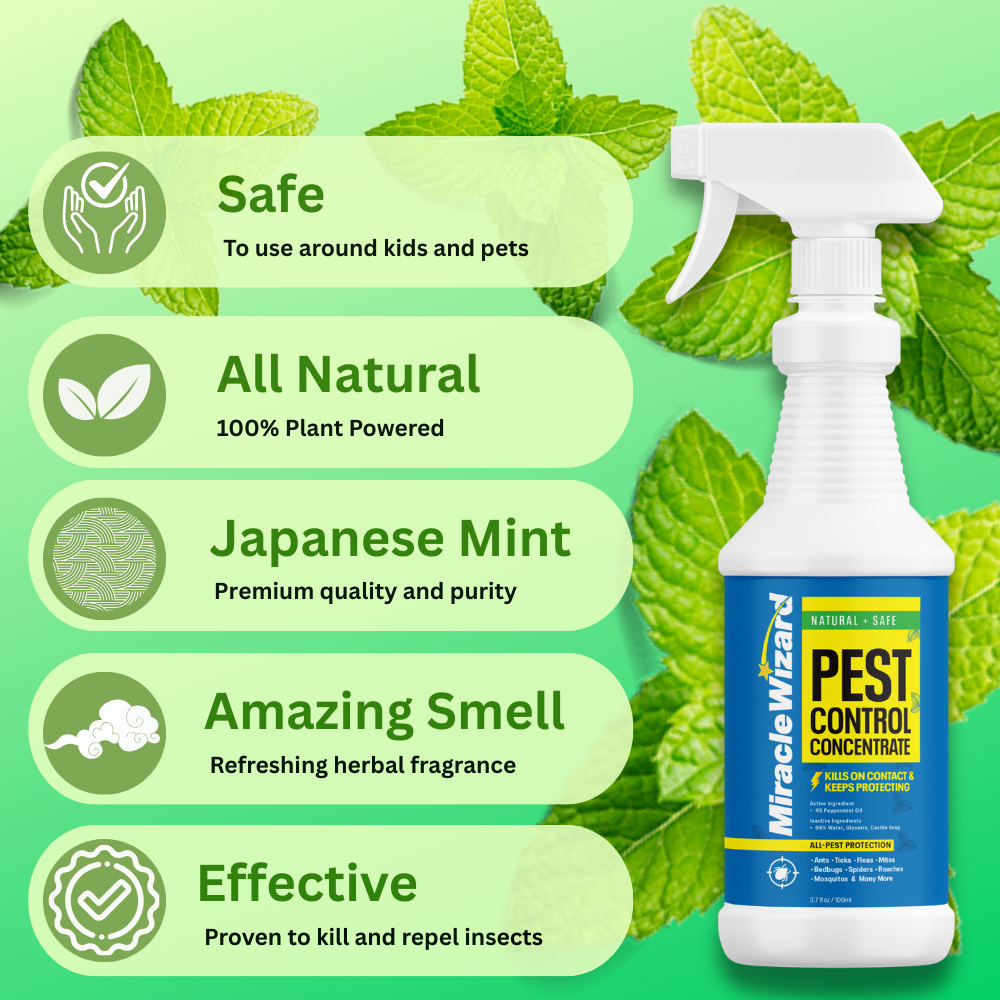 Pest Control Concentrate