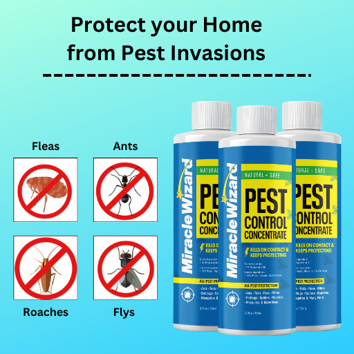 Pest Control Concentrate