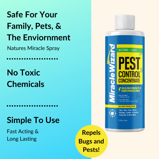 Pest Control Concentrate