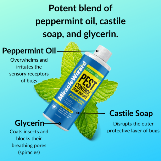 Pest Control Concentrate