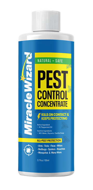 Pest Control Concentrate